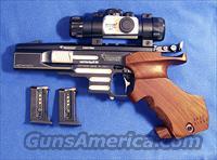 Pardini SP 22 LR, Match Dot Sight  Pardini Pistols