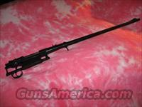 Custom Barreled Action  Custom Rifles > Bolt Action