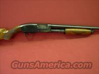 Remington 31 16ga reblued  Remington Shotguns  > Pump > Hunting