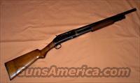Winchester Model 97 12 Gauge Riot Gun  Winchester Shotguns - Modern > Pump Action > Hunting