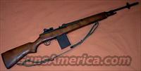 Springfield M1A 7.62 NATO w/Magazine  Springfield Armory Rifles > M1A/M14