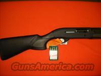 BERETTA 391 EXTREMA  Beretta Shotguns > Autoloaders > Hunting