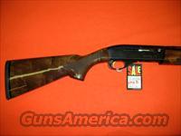 REMINGTON 1100 SPORTING 28  Remington Shotguns  > Autoloaders > Trap/Skeet