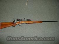 RUGER M77  Ruger Rifles > Model 77