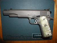 Custom 1991A1 Government Stainless 45  Custom Pistols > 1911 Family