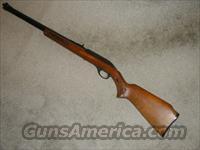 MARLIN GLENFIELD 60  22Inch 18+1 Capacity  Marlin Rifles > Modern > Semi-auto