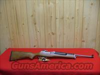 Ruger Mini-14 Stainless Ranch Rifle  Ruger Rifles > Mini-14 Type