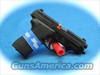 Sig Sauer P239 9mm Nitron Night Sights **NEW**  Sig - Sauer/Sigarms Pistols > P239