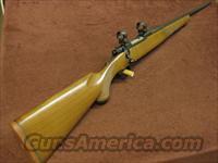 RUGER M77 .243 TANG SAFETY - 1976 LIBERTY MODEL - MINT !  Ruger Rifles > Model 77