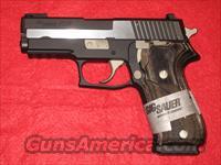 P220 Equinox Carry .45 ACP. NEW !!! LAYAWAY !!!  Sig - Sauer/Sigarms Pistols > P220