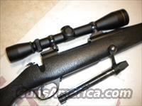 CUSTOM Mountain Eagle .30'06 Reduced!  Custom Rifles > Bolt Action