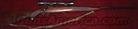 WINCHESTER PRE-64 MODEL 70 .22 HORNET  Winchester Rifles - Modern Bolt/Auto/Single > Model 70 > Pre-64