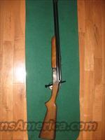 Savage 24P 22Lr over 410  Savage Shotguns
