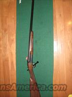 SKB 280 20ga  SKB Shotguns > Hunting