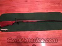 H & R 176 10Ga  Harrington & Richardson Shotguns