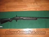 Remington 1100LT20  Remington Shotguns  > Autoloaders > Hunting
