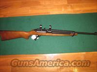 Ruger 99/44 Deerfield  Ruger Rifles > M44/Carbine