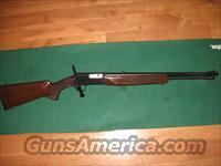 Browning BAR 22  Browning Rifles > Semi Auto > Hunting
