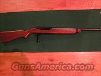 Ruger DeerStalker 44 Carbine  Ruger Rifles > M44/Carbine