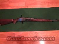 Remington Nylon 66  Remington Rifles - Modern > .22 Rimfire Models