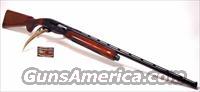 Remington 1100LT-20 "Tournament Skeet"  Remington Shotguns  > Autoloaders > Trap/Skeet