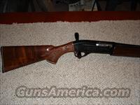 Remington lightweight 20GA  Remington Shotguns  > Autoloaders > Hunting
