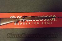 Win 70 Featherweight 308  Winchester Rifles - Modern Bolt/Auto/Single > Model 70 > Post-64