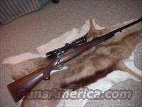 Ruger .338 Win Hawkeye African  Ruger Rifles > Model 77