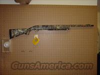 BROWNING GOLD NWTF  Browning Shotguns > Autoloaders > Hunting