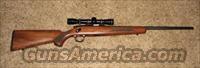 Remington 504  Remington Rifles - Modern > .22 Rimfire Models
