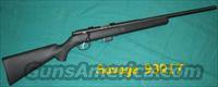 Savage .17 cal  Savage Rifles > Bolt action