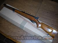 Mossberg, O.F. & Sons, Inc model 151M(a) .22 LR caliber semi-automatic rifle  Mossberg Rifles > Plinkster Series