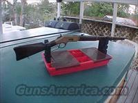 Winchester Model 1866  (yellowboy) .44 Rimfire Musket  Winchester Rifles - Pre-1899 Lever