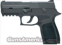 SIG P250 COMPACT 40SW NS  13RD  Sig - Sauer/Sigarms Pistols > P250