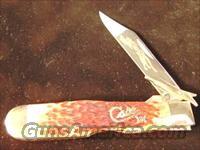 Case Cheetah Silver Script Pink Bone Mint 2001  Knives/Swords > Knives > Folding Blade > Hand Made