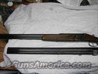 Antonio Zoli 2 Barrel set 12ga 3in x222REM 12ga 3in x 12ga 3in  Antonio Zoli Shotguns