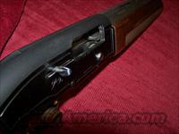 BERETTA 303  Beretta Shotguns > Autoloaders > Trap/Skeet