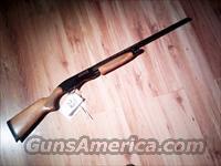 Winchester 1300 Shotgun  Winchester Shotguns - Modern > Pump Action > Hunting