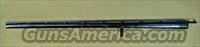 Browning BPS  BBL  Browning Shotguns > Pump Action > Hunting