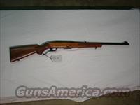 Winchester 88,308,post 64  Winchester Rifles - Modern Lever > Other Lever > Post-64