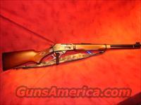 NIB MARLIN 336W 30-30win LEVER 6rd 20" 7 lbs 70520 >> FREE SHIPPING >> END OF YEAR LAYAWAY AVAILABLE !!!!!  Marlin Rifles > Modern > Lever Action