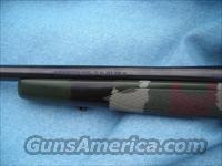 WINCHESTER MODEL 70 DBM 284 WINCHESTER  Winchester Rifles - Modern Bolt/Auto/Single > Model 70 > Post-64