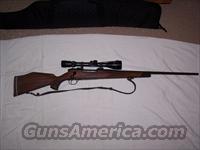 Weatherby MK  V  Weatherby Rifles > Sporting