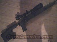 SAVAGE Model 10  Savage Rifles > Accutrigger Models