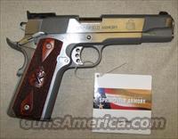 Springfield 1911-A1 45ACP Target Stainless PI9132LP New   Springfield Armory Pistols > 1911 Type