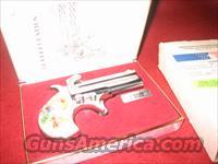 American derringer corp.  Derringer Modern