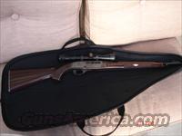Remington Nylon 66 1959!  Remington Rifles - Modern > .22 Rimfire Models