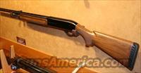 Benelli Montrefeltro 12g 28"  Benelli Shotguns > Sporting