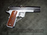 Nighthawk Dominator  Nighthawk Pistols