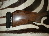 Beretta UGB 25 Trap, CLOSEOUT PRICE!!  Beretta Shotguns > Autoloaders > Trap/Skeet